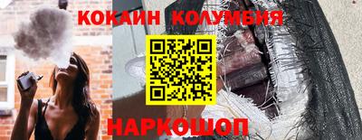 гашик Кингисепп