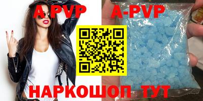 гашик Кингисепп