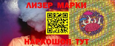 гашик Кингисепп