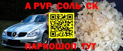 гашик Кингисепп