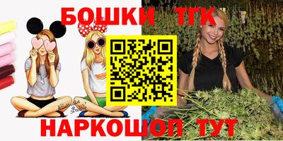 гашик Кингисепп