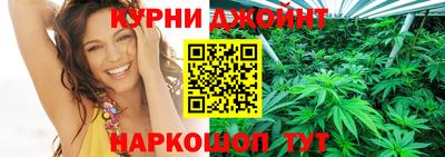 гашик Кингисепп