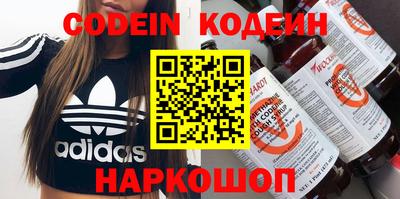 гашик Кингисепп