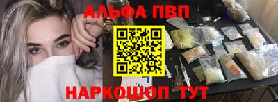 гашик Кингисепп